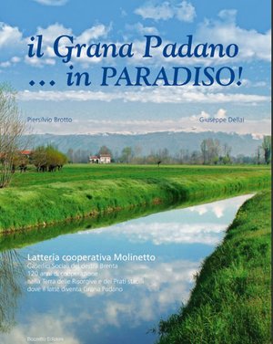 Grana Padano (Art. corrente, Pag. 1, Foto generica)